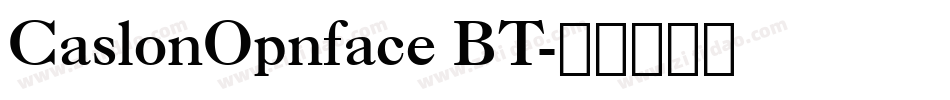 CaslonOpnface BT字体转换